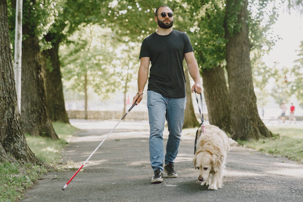 Blind man with his dog
